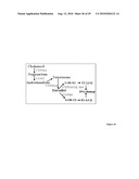 TREATMENT OF OSTEOPOROSIS IN PERI- AND POST- MENOPAUSAL WOMEN WITH HEPCIDIN diagram and image