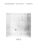 Irreversibly-inactivated pepsinogen fragment and pharmaceutical compositions comprising the same for detecting, preventing and treating HIV diagram and image