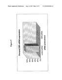 ANTI-VIRAL METHODS AND COMPOSITIONS diagram and image