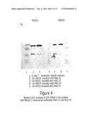 Process for the Production of Immunogenic Compositions diagram and image