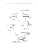 Process for the Production of Immunogenic Compositions diagram and image