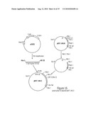 Process for the Production of Immunogenic Compositions diagram and image