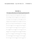 MAPK/ERK KINASE INHIBITORS diagram and image