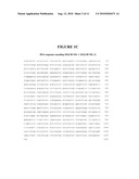 MAPK/ERK KINASE INHIBITORS diagram and image