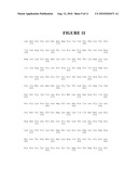 MAPK/ERK KINASE INHIBITORS diagram and image