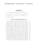 MAPK/ERK KINASE INHIBITORS diagram and image