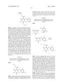 MAPK/ERK KINASE INHIBITORS diagram and image