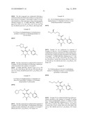 MAPK/ERK KINASE INHIBITORS diagram and image