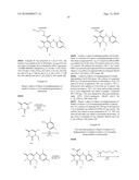 MAPK/ERK KINASE INHIBITORS diagram and image