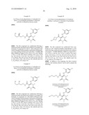 MAPK/ERK KINASE INHIBITORS diagram and image