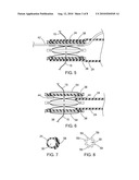 EXPANDABLE PORT FOR ACCESSING A BODILY OPENING diagram and image