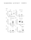 Methods for Treating Central Pain Syndrome and Other Pain Related Pathologies diagram and image