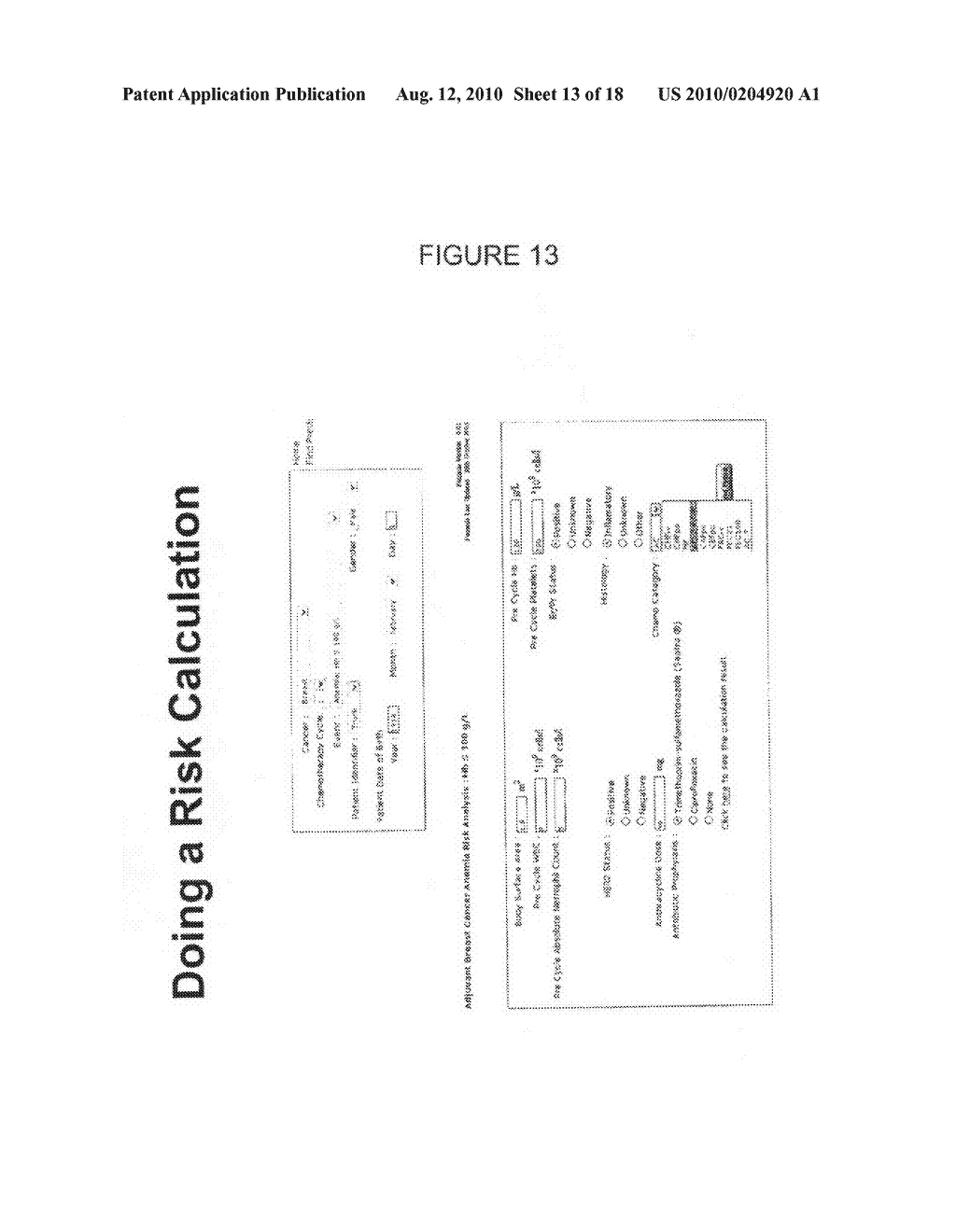 SYSTEM FOR DEVELOPMENT OF INDIVIDUALISED TREATMENT REGIMENS - diagram, schematic, and image 14