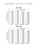 Method and System for Extracting Web Query Interfaces diagram and image