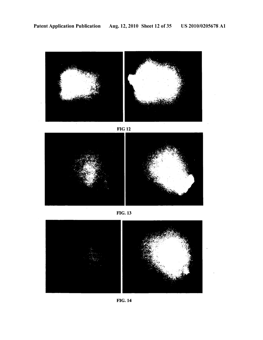 OOCYTE SPINDLE-ASSOCIATED FACTORS IMPROVE SOMATIC CELL CLONING - diagram, schematic, and image 13