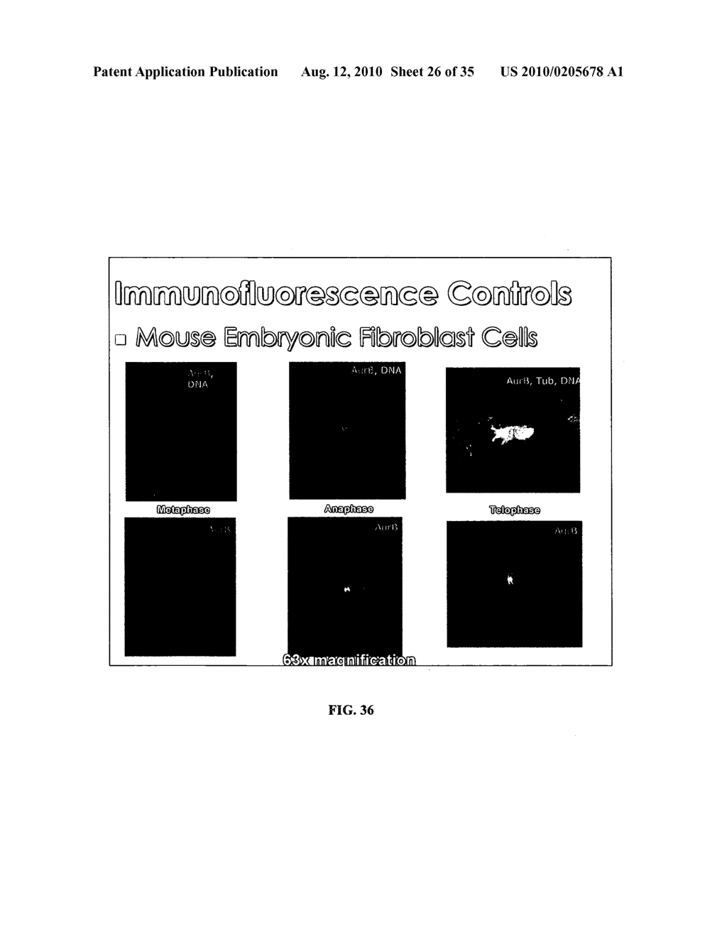 OOCYTE SPINDLE-ASSOCIATED FACTORS IMPROVE SOMATIC CELL CLONING - diagram, schematic, and image 27