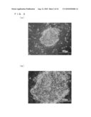 CHICKEN EMBRYONIC STEM CELL AND METHOD FOR EVALUATION THEREOF diagram and image