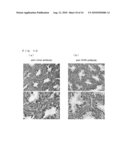 CHICKEN EMBRYONIC STEM CELL AND METHOD FOR EVALUATION THEREOF diagram and image