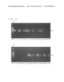 CHICKEN EMBRYONIC STEM CELL AND METHOD FOR EVALUATION THEREOF diagram and image