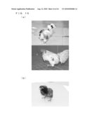 CHICKEN EMBRYONIC STEM CELL AND METHOD FOR EVALUATION THEREOF diagram and image