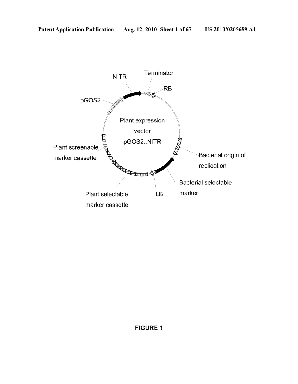 Plants Having Enhanced Yield-Related Traits and a Method for Making the Same - diagram, schematic, and image 02