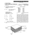 ANTI-MICROBIAL COMPOUNDS USED IN GARMENTS FOR WATER BASED ACTIVITIES diagram and image