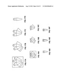 MULTIPURPOSE COLLAPSIBLE FUNNEL AND METHOD FOR MAKING A COLLAPSIBLE FUNNEL diagram and image