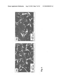 CORROSION INHIBITING COATING FOR ACTIVE CORROSION PROTECTION OF METAL SURFACES COMPRISING A SANDWICH-LIKE INHIBITOR COMPLEX diagram and image