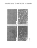 CORROSION INHIBITING COATING FOR ACTIVE CORROSION PROTECTION OF METAL SURFACES COMPRISING A SANDWICH-LIKE INHIBITOR COMPLEX diagram and image