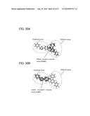 Oxadiazole Derivative, and Light-Emitting Element and Light-Emitting Device Using Oxadiazole Derivative diagram and image