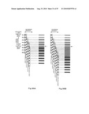 PRINTING METHOD, PRINTING SYSTEM AND STORAGE MEDIUM HAVING PROGRAM RECORDED THEREON diagram and image