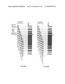 PRINTING METHOD, PRINTING SYSTEM AND STORAGE MEDIUM HAVING PROGRAM RECORDED THEREON diagram and image