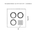 Digital camera with multiple pipeline signal processors diagram and image