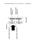 Digital camera with multiple pipeline signal processors diagram and image