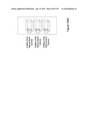 Digital camera with multiple pipeline signal processors diagram and image