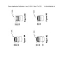 Digital camera with multiple pipeline signal processors diagram and image