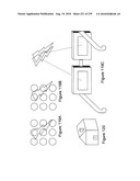 Digital camera with multiple pipeline signal processors diagram and image