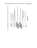 Digital camera with multiple pipeline signal processors diagram and image