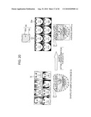 IMAGE PROCESSING APPARATUS FOR DETECTING COORDINATE POSITION OF CHARACTERISTIC PORTION OF FACE diagram and image