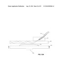 Optical Fiber Microscopy Launch System and Method diagram and image