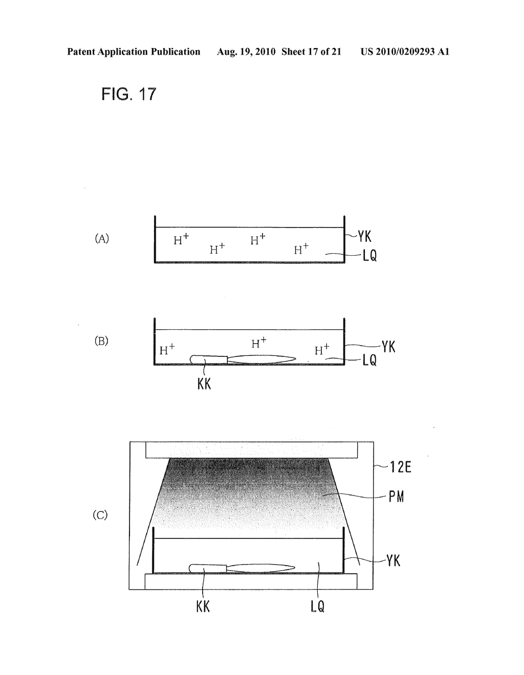 STERILIZATION METHOD AND APPARATUS - diagram, schematic, and image 18