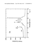 ION CYCLOTRON POWER CONVERTER AND RADIO MICROWAVE GENERATOR diagram and image