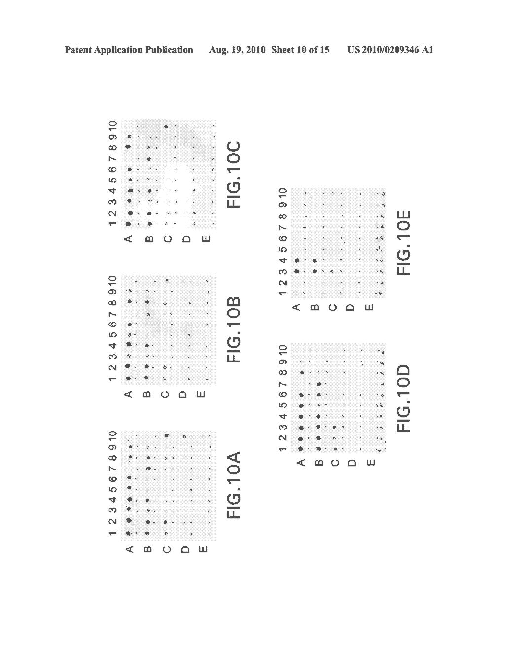 AMYLOID BETA(1-42) OLIGOMERS, DERIVATIVES THEREOF AND ANTIBODIES THERETO, METHODS OF PREPARATION THEREOF AND USE THEREOF - diagram, schematic, and image 11