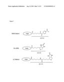 ANTIBODIES AND FC FUSION PROTEIN MODIFICATIONS WITH ENHANCED PERSISTENCE OR PHARMACOKINETIC STABILITY IN VIVO AND METHODS OF USE THEREOF diagram and image