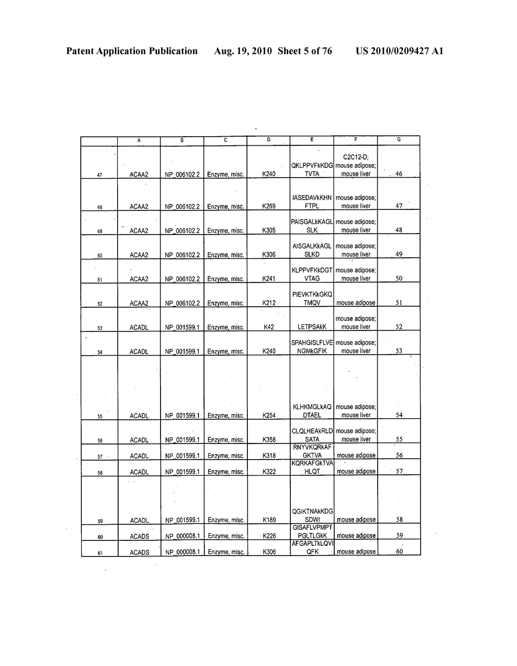 LYSINE ACETYLATION SITES - diagram, schematic, and image 06