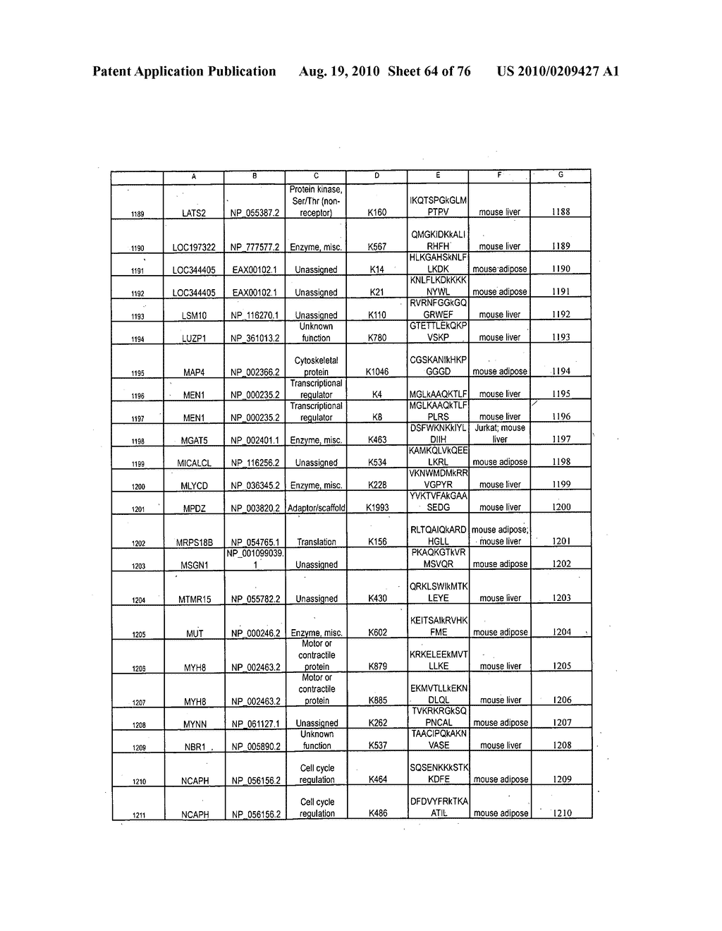 LYSINE ACETYLATION SITES - diagram, schematic, and image 65