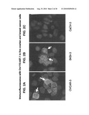 OVR110 Antibody Compositions and Methods of Use diagram and image