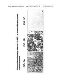 OVR110 Antibody Compositions and Methods of Use diagram and image