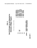 OVR110 Antibody Compositions and Methods of Use diagram and image