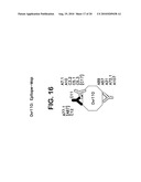 OVR110 Antibody Compositions and Methods of Use diagram and image